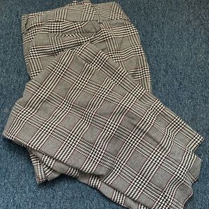 Catos plus size pants